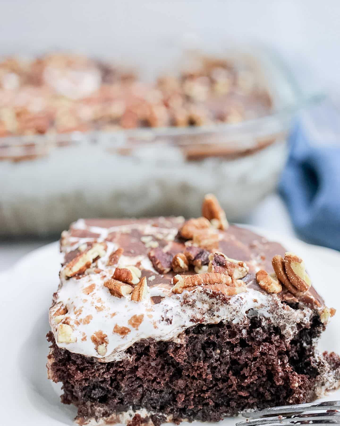 The perfect moist chocolate dessert is a #mississippimudcake. With chocolate cake, mashmallows and pecans it’s delicious and easy to make. The recipe is now up on Mashed. 

#sheetcakerecipes #southernrecipes #dessertrecipe #foodphotography #bakingphotography #mudcakerecipe